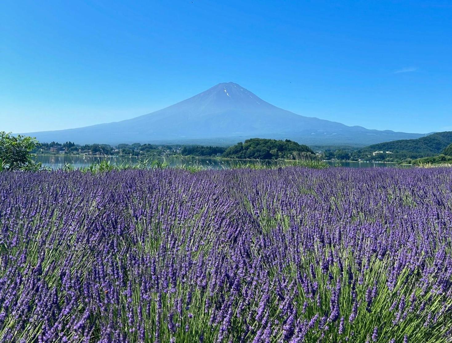 Holiday Home Furinkazan 風林火山 Fujikawaguchiko Luaran gambar
